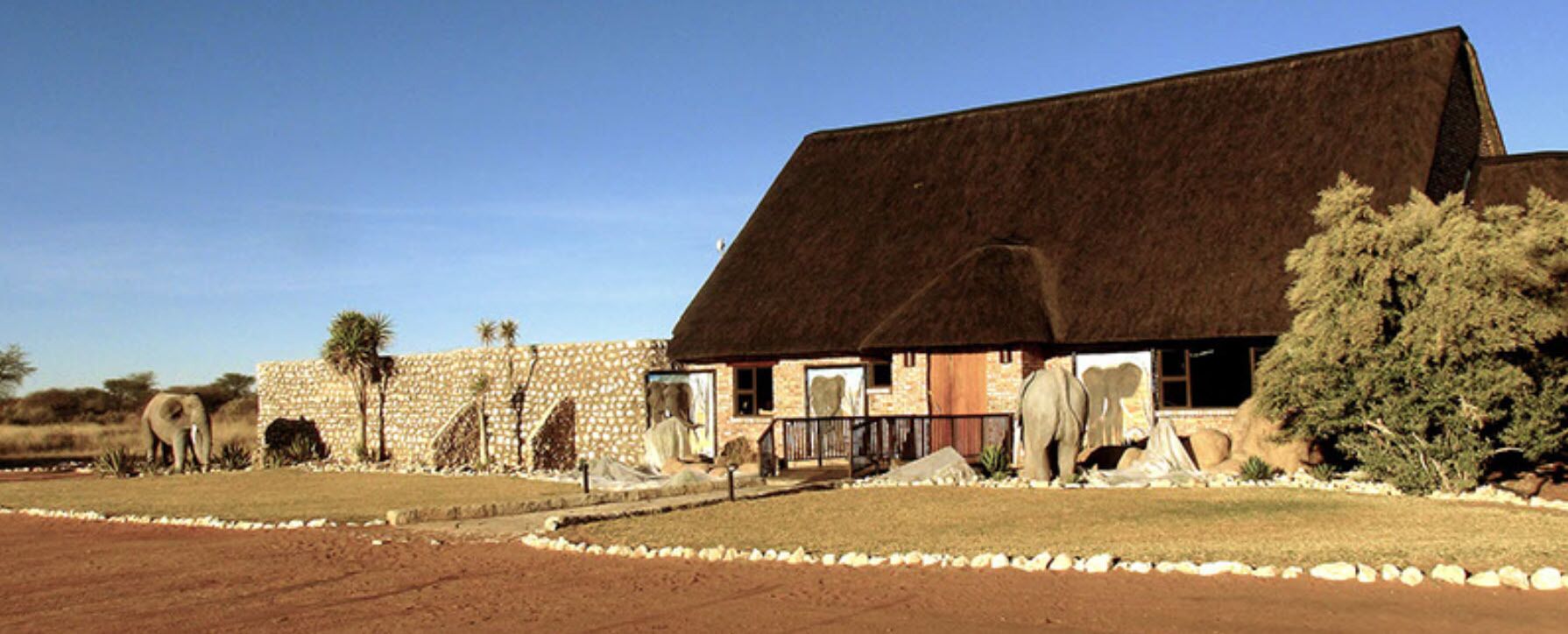 Se sirven desayunos, almuerzos, cenas y cocina local e internacional 