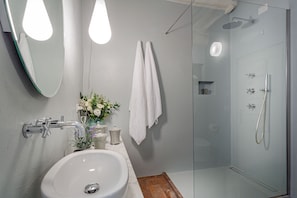 Regadera, secadora de cabello, bidet, toallas