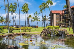 Property grounds - 180-Degree Oceanfront View | Corner Unit! (Lahaina)
