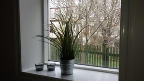 Appartement, 1 chambre, rez-de-chaussée | Cuisine privée