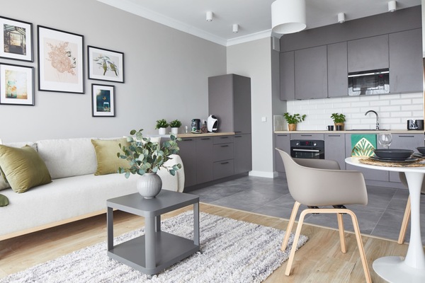 Comfort Apartment