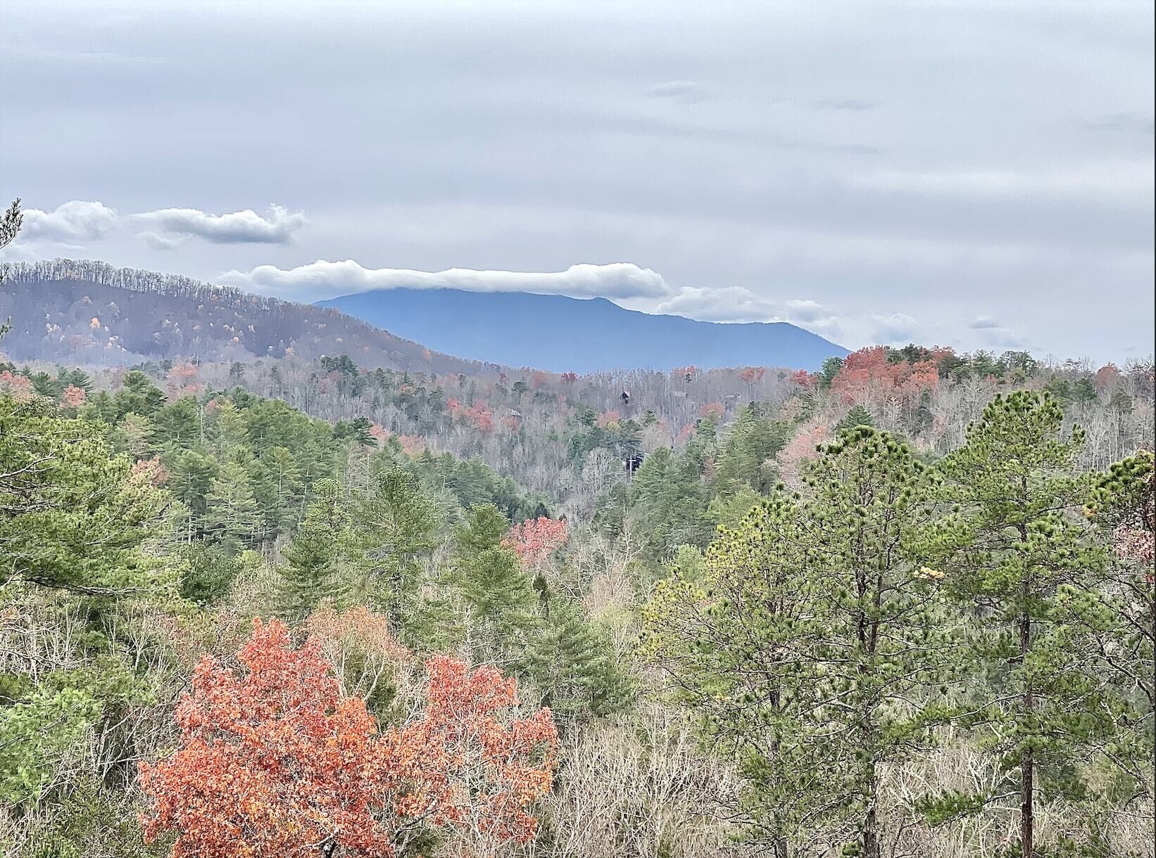 Little Smoky Dream (2 Bedroom, new small appliances, new hot tub and much more!)