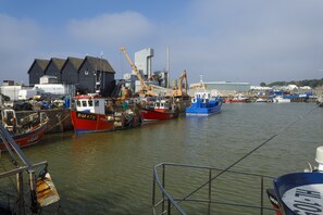 Marina - Charming House near the Seafront in the Heart of Whitstable. (Whitstable)