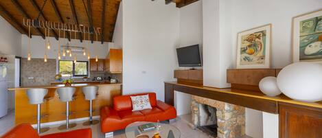 TV, fireplace