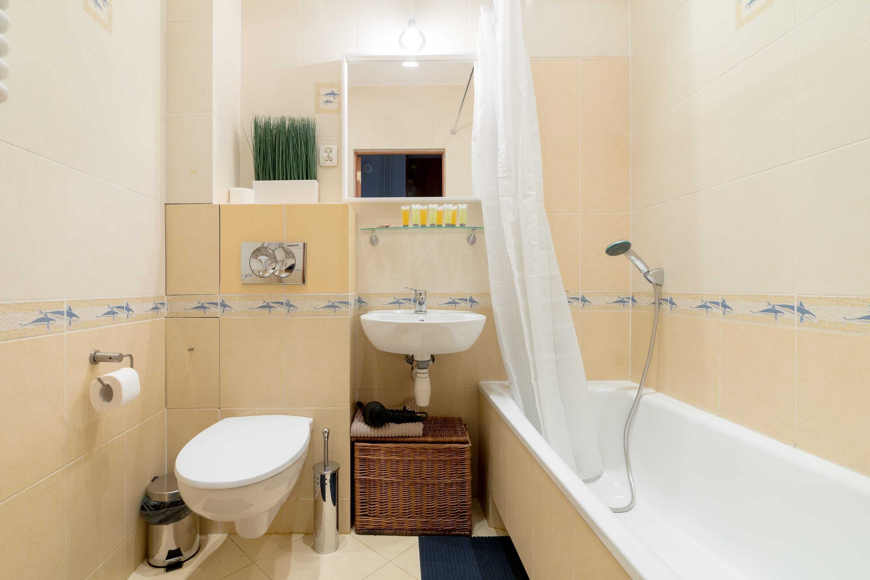 Superior Apartment | Bathroom