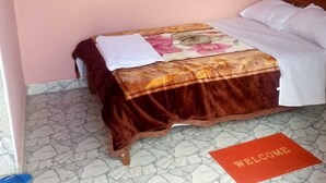 Un dormitorio con cama, felpudo y mosquitera.