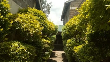 Jardin