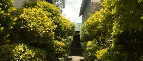 Jardin
