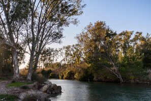 Un paesaggio tranquillo lungo il fiume, con alberi e rocce.
