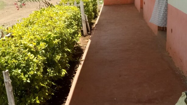 Um corredor externo coberto com piso de tijolos, ladeado por arbustos verdes e um muro branco.