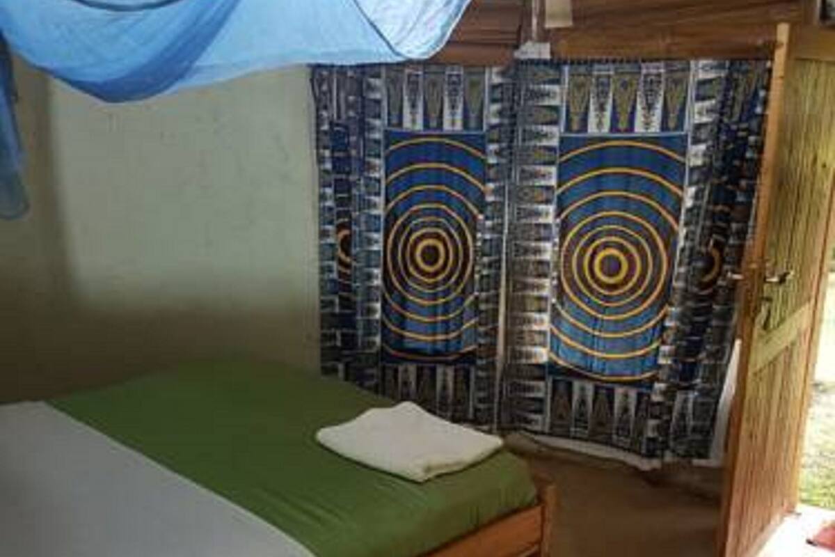 A single-bed room with a wooden frame, green bedding, and a mosquito net.