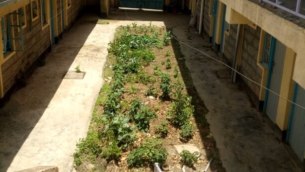 A courtyard with a garden, a building with a balcony, and a garage door. - Migingo Lodge (Gilgil)