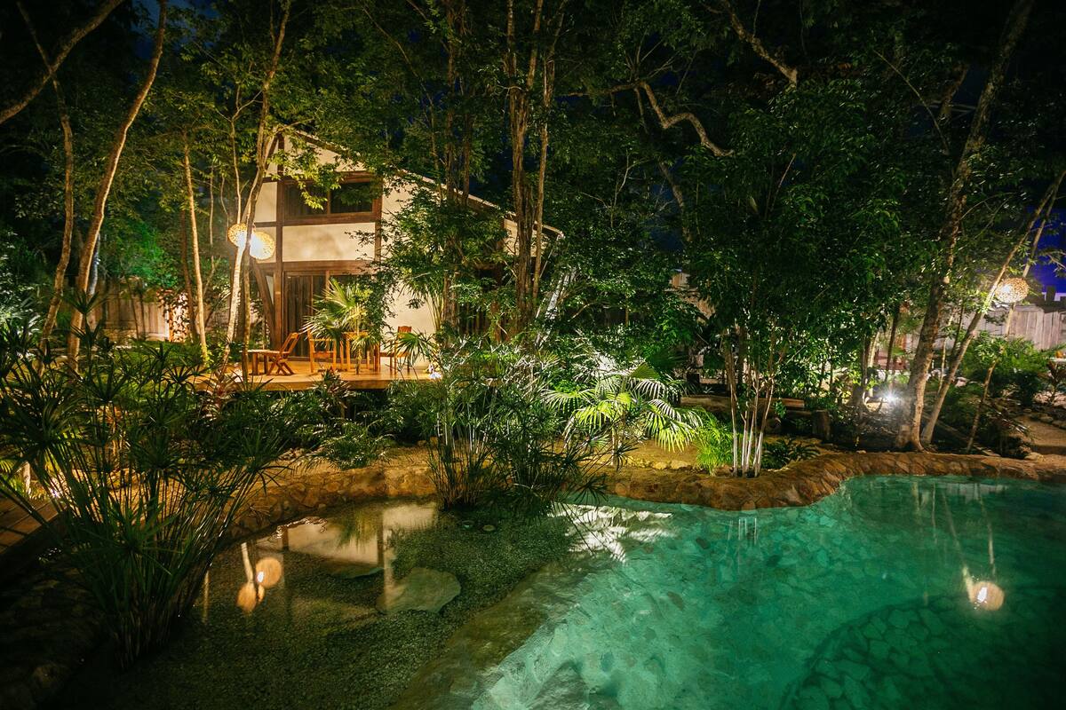 A nighttime view of a house surrounded by lush greenery and a clear pool.