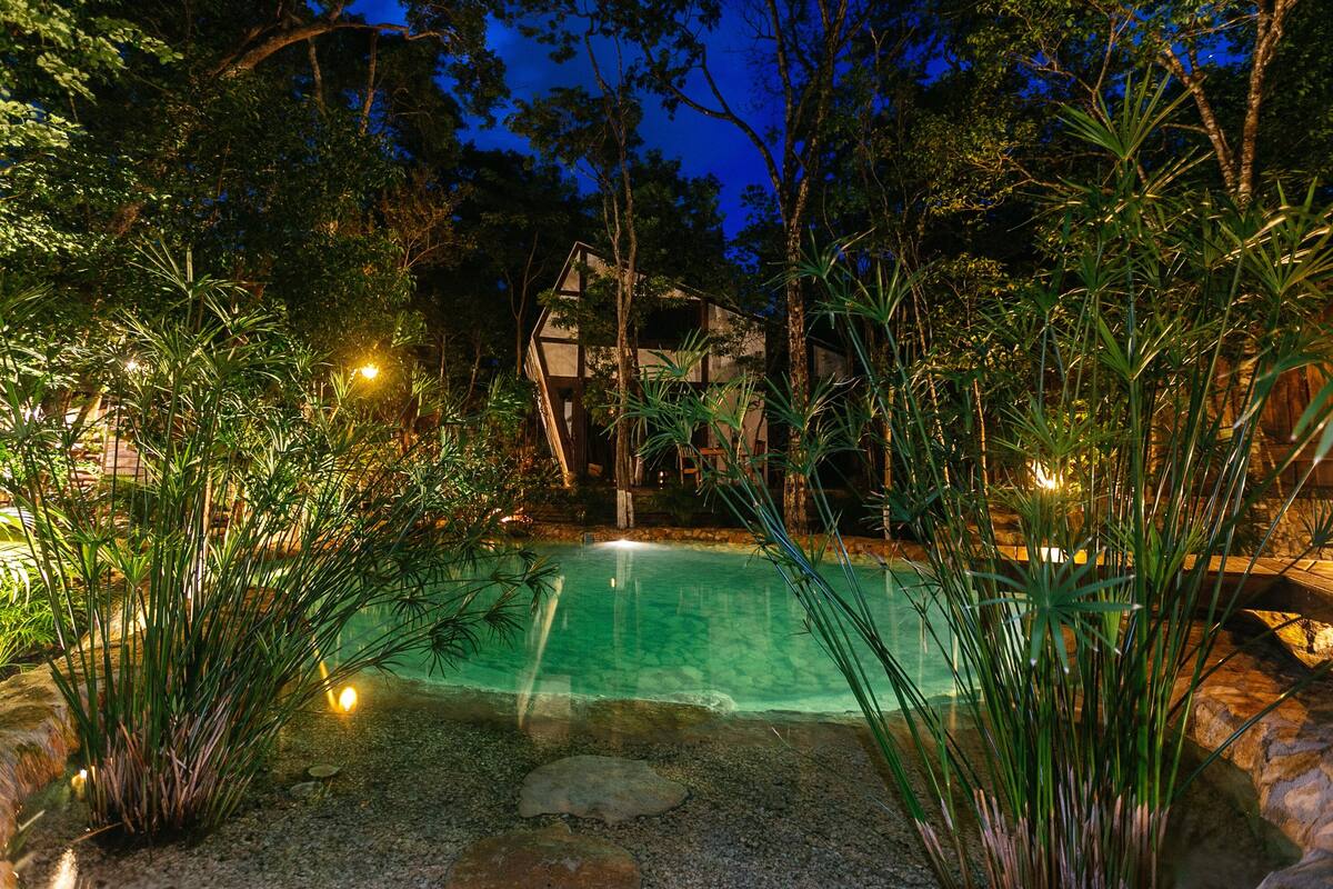 A pool surrounded by tropical plants and trees, with a house in the background.