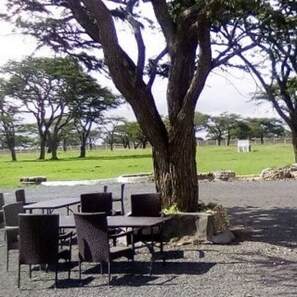 Breakfast, lunch, dinner served; local cuisine  - Olooltepes Picnic Site (Kiserian)