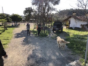 Jardin