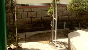 An outdoor area with a stone wall, a metal archway, and a potted plant. - Paramount Guest House (Gilgil)
