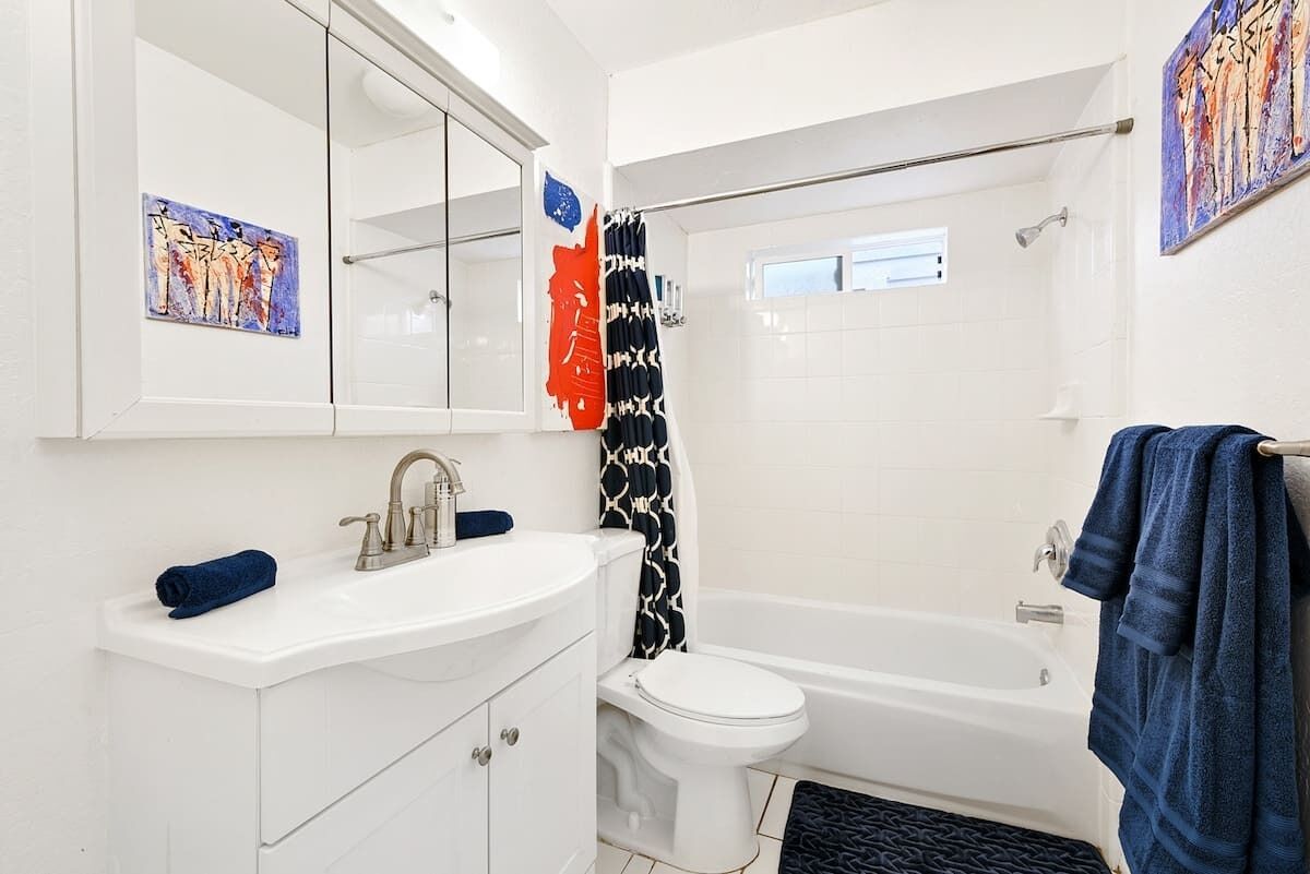 Shower, hair dryer, shampoo