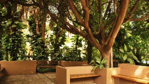 Terrace/patio - Hotel La Hacienda (Tuxtla Gutierrez)