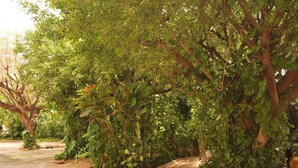 Exterior - Hotel La Hacienda (Tuxtla Gutierrez)