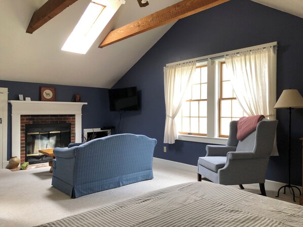 Smart TV, fireplace, books