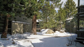 A snow-covered outdoor area with trees and a building. - Sierra Park Villas #24 (Mammoth Lakes)