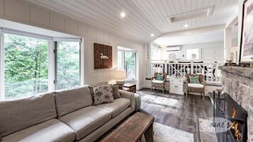 Smart TV, fireplace, books
