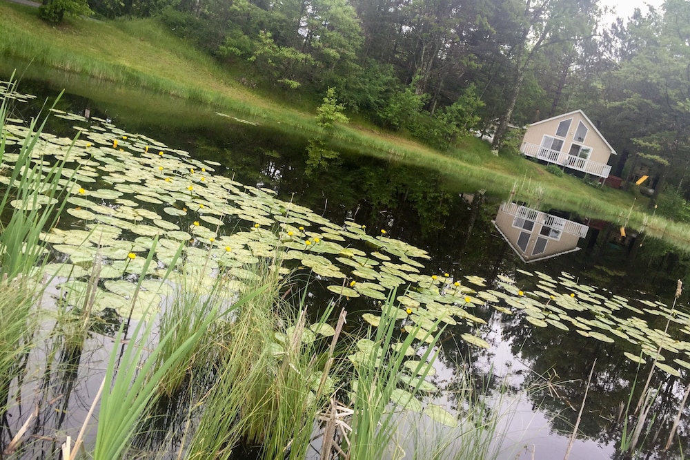 Charming 2 beds, 1 bath, and a loft with a lake front view and shoreline