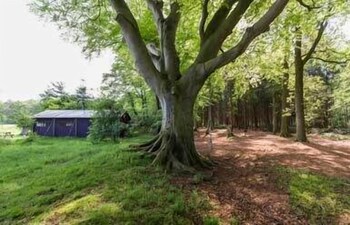 Het Wesselink in Salland - Canvas Frills Lodge sep Shower With h