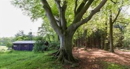 Het Wesselink in Salland - Canvas Frills Lodge sep Shower With hot tub