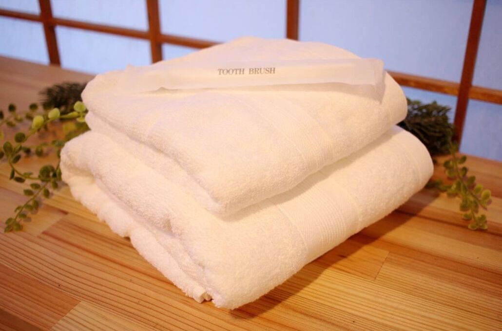 Sèche-cheveux, bidet, serviettes fournies, savon