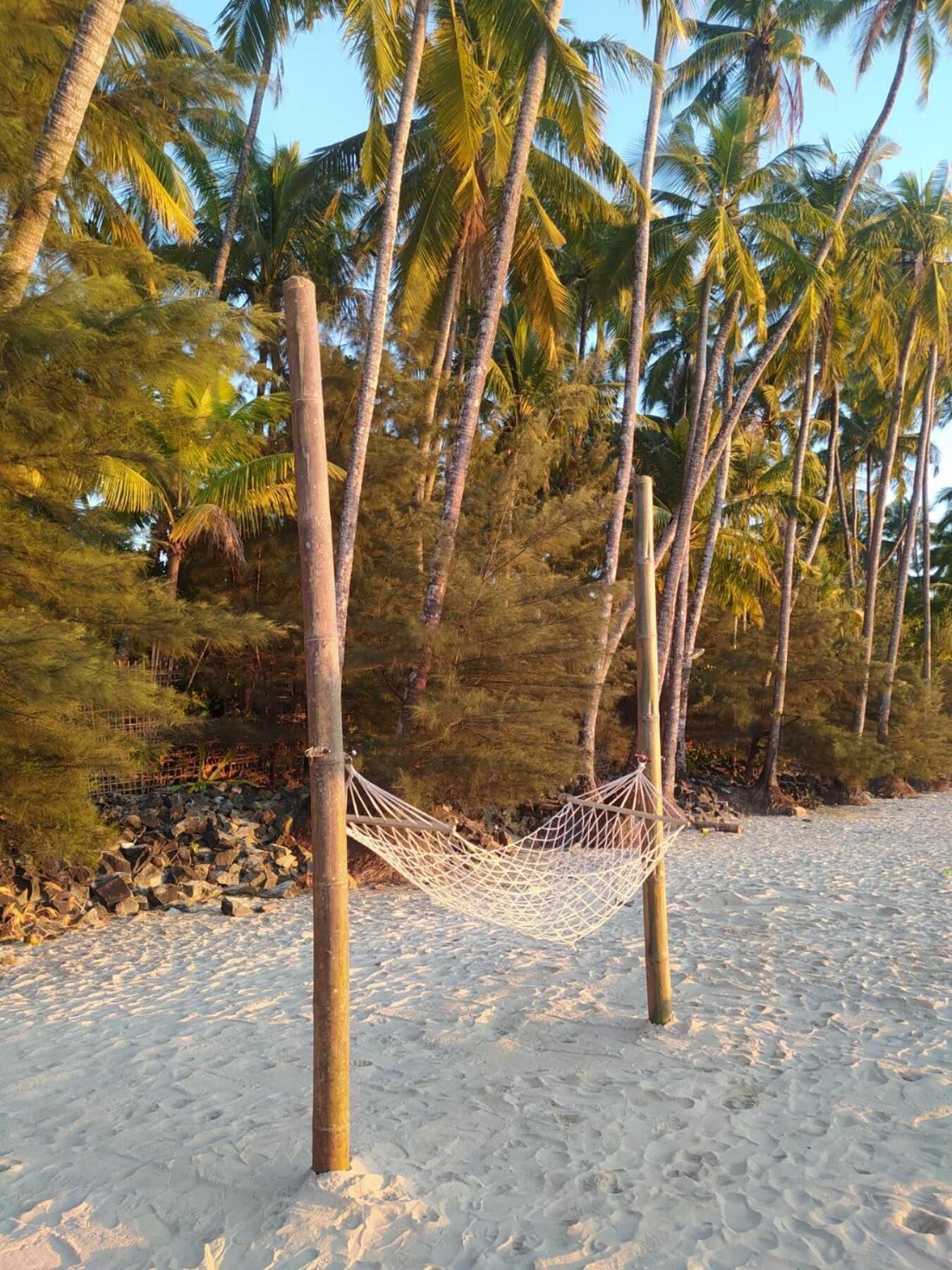 A hammock tied between two palm trees on a sandy beach with a rocky shoreline and dense foliage in the background.