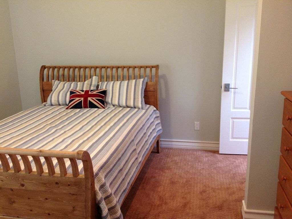 Modern beach house pet friendly