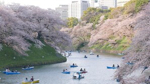Point of interest - Tsuru 101 (Tokyo)