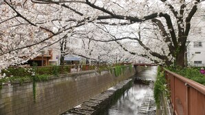 Point of interest - Tsuru 101 (Tokyo)