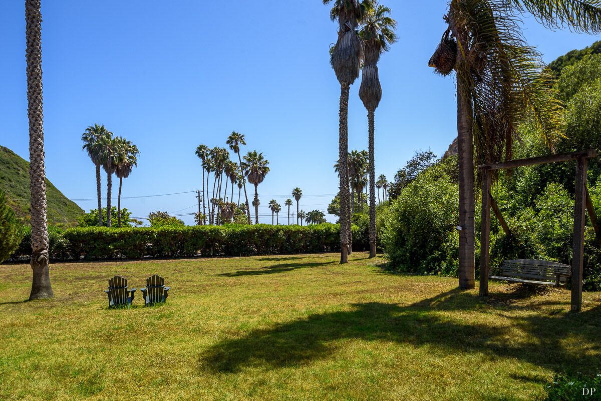 A grassy area with tall palm trees and a bench.