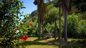 A garden with a wooden bench, palm trees, and various plants.