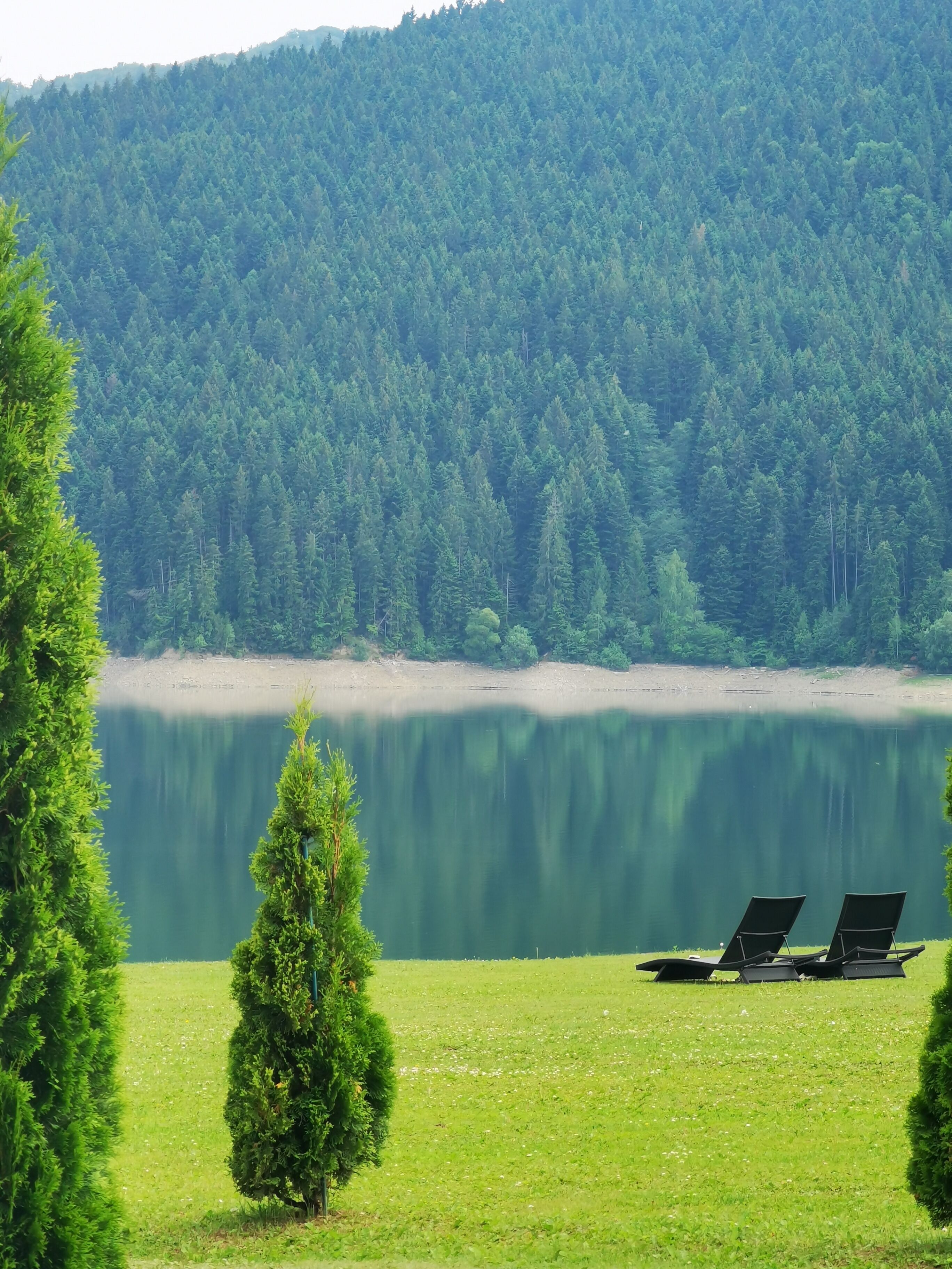 A serene lakeside view with two lounge chairs facing the water, surrounded by lush greenery and a dense forest in the background.