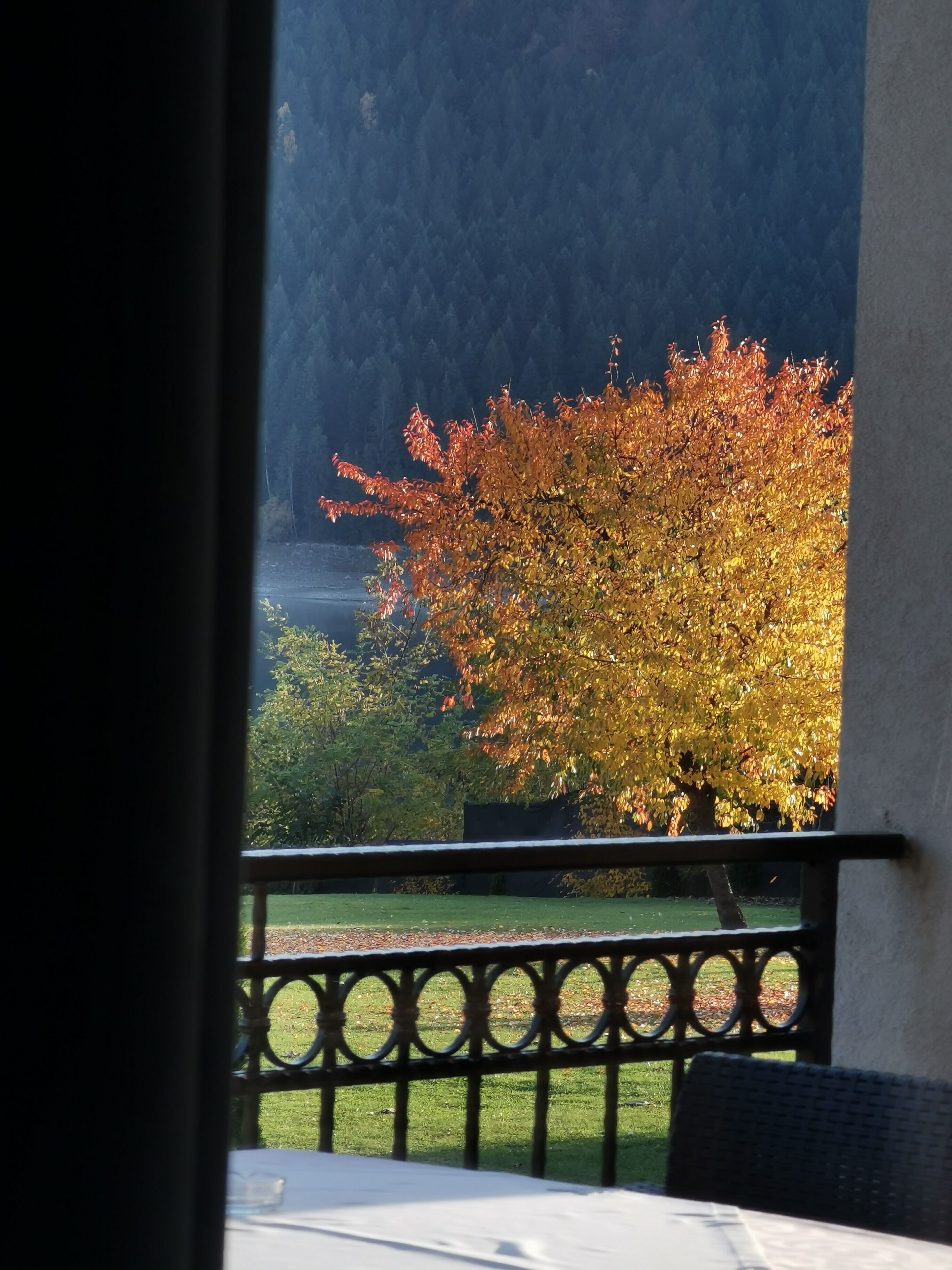 A balcony with a view of a tree with autumn leaves, a railing, and a table with a chair.