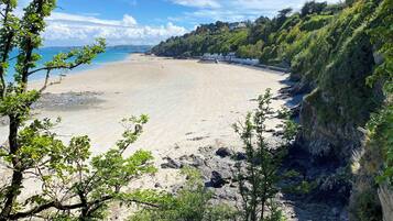 Une plage à l’eau claire, avec des zones rocheuses et une végétation luxuriante.