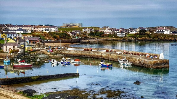 Stroll along the harbor, taking in the sights and sounds of this charming coastal town.