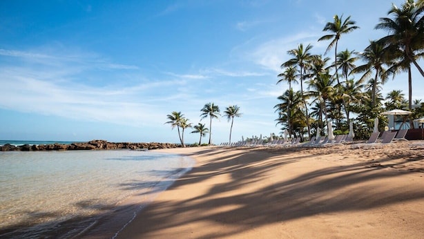 Ein Strand mit klarem Wasser, Palmen und Liegestühlen am Ufer.