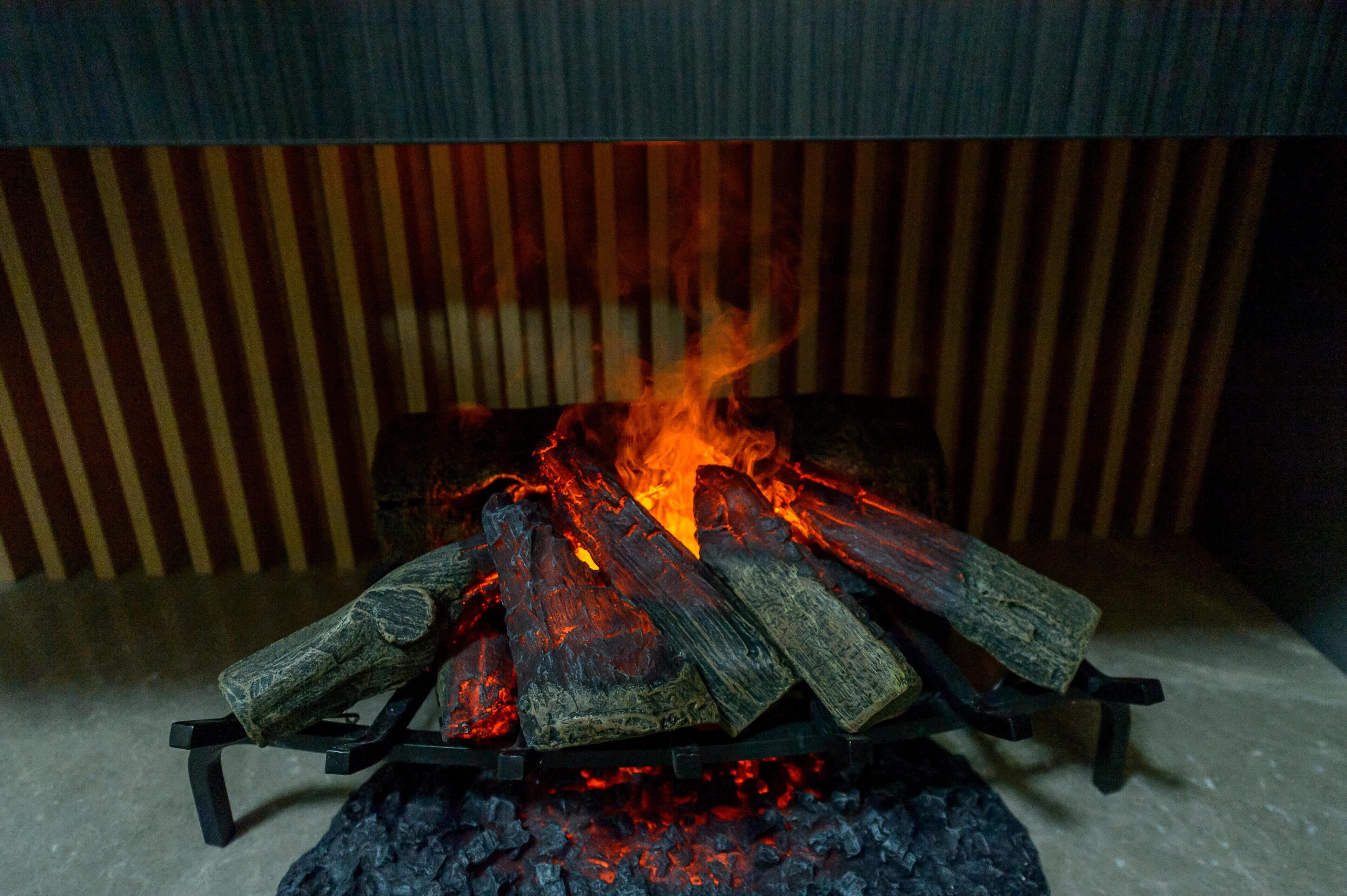 Una chimenea con leña encendida.