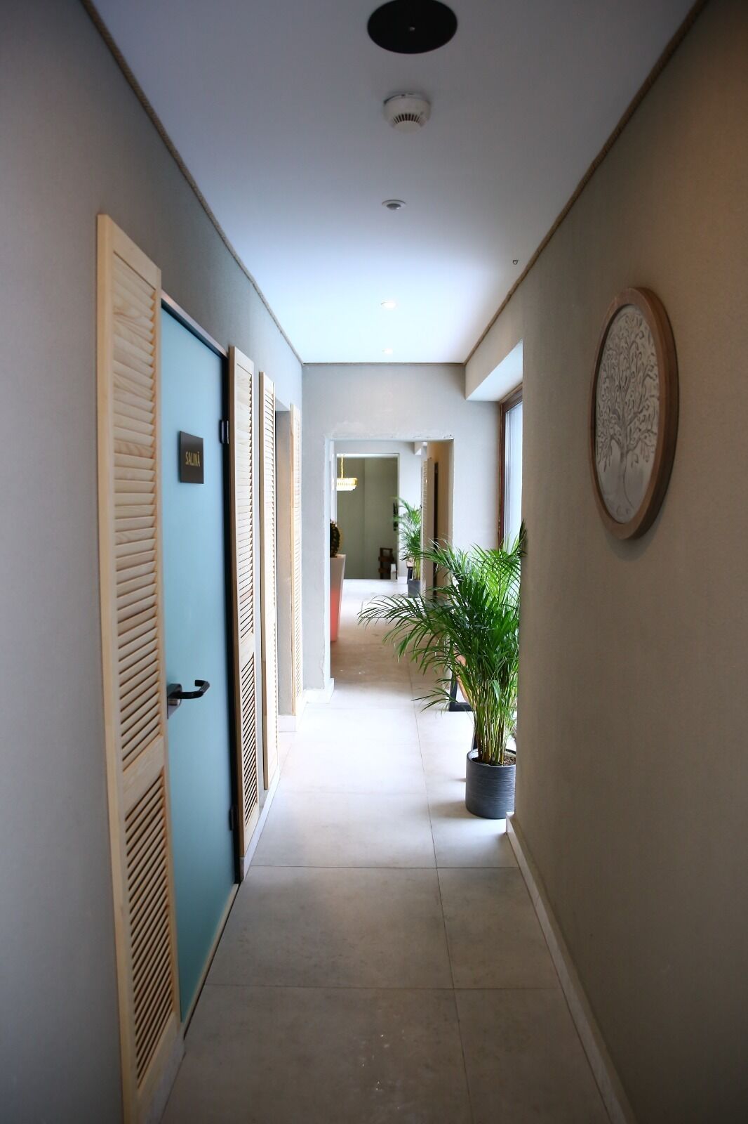 A hallway with a light blue door, a potted plant, and a wall-mounted decorative piece.