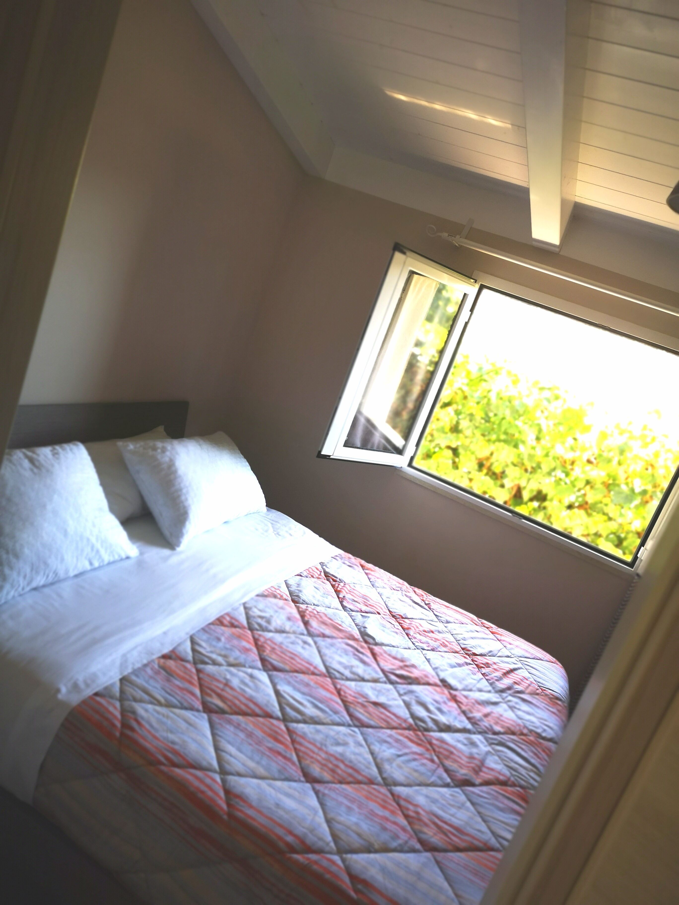 A single bed with a quilt, a window with a view of greenery, and a ceiling with recessed lighting.