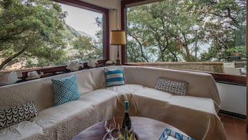 Smart TV, fireplace, books