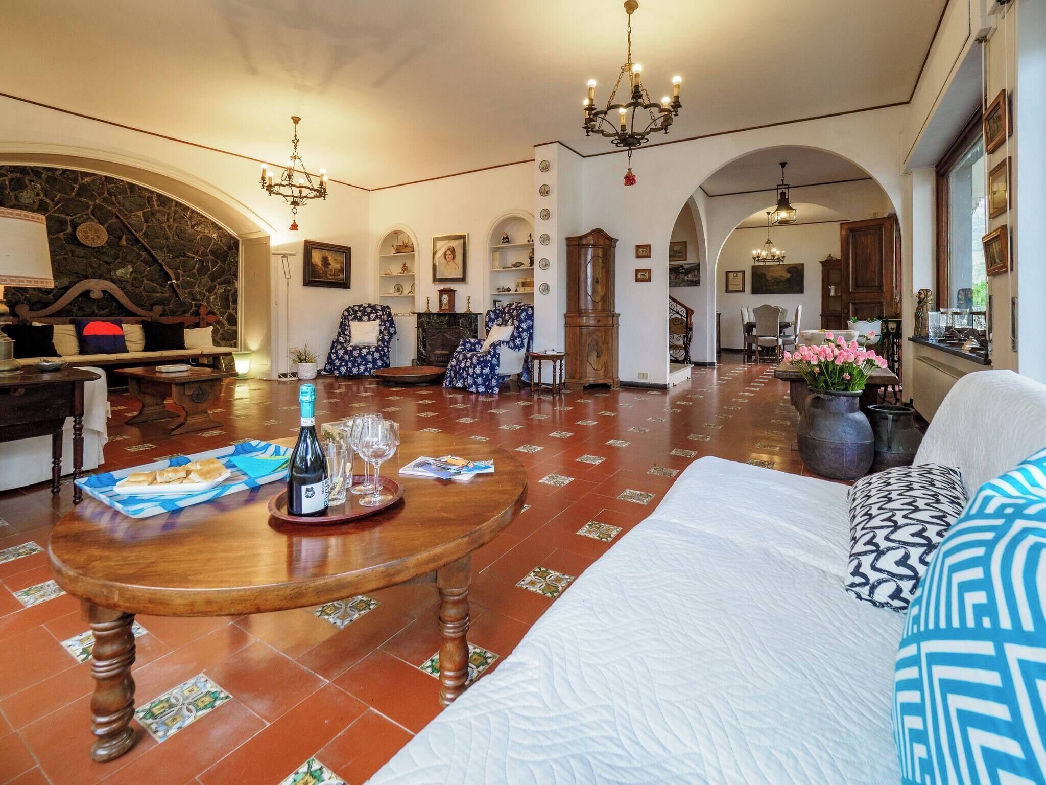 TV connectée, cheminée, livres