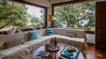 Smart-tv, eldstad och böcker