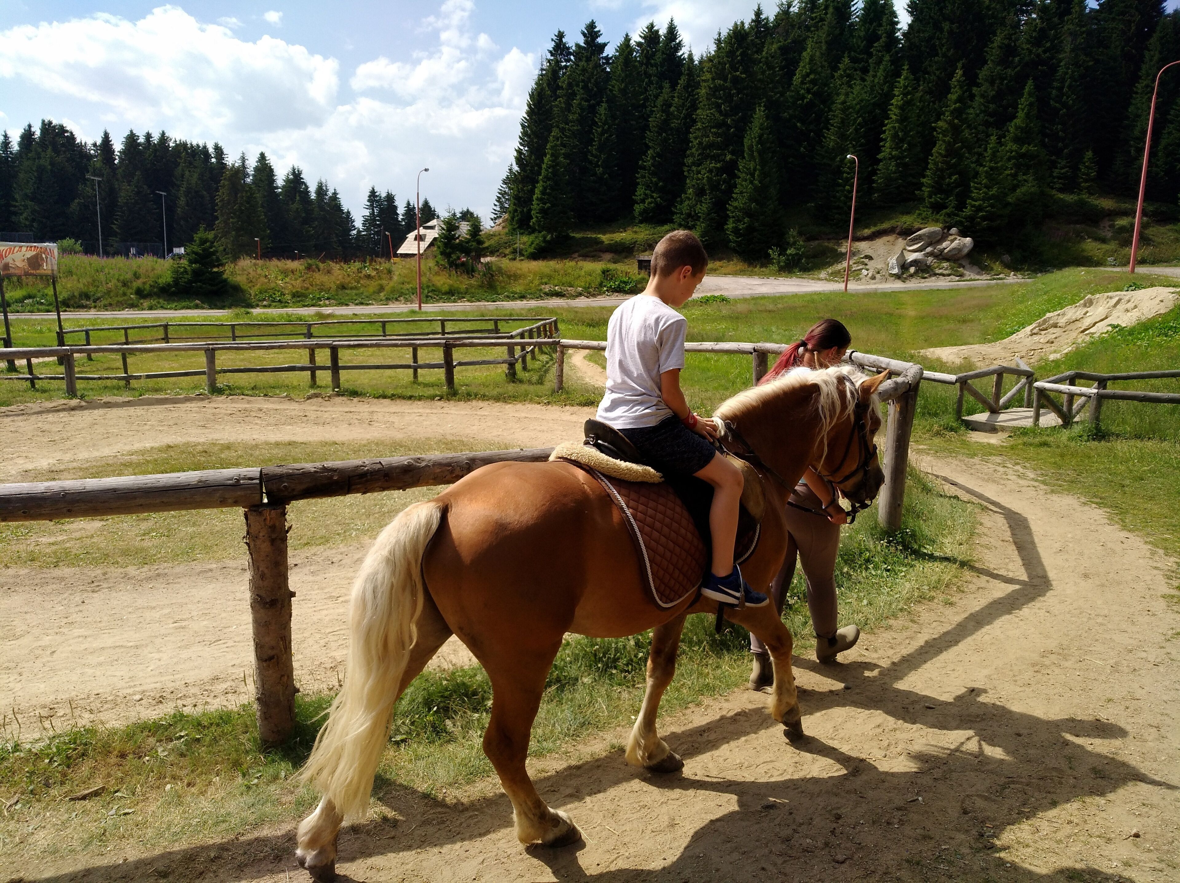 Eine Person reitet auf einem Pferd auf einem unbefestigten Weg in einem eingezäunten Gelände mit Bäumen im Hintergrund.