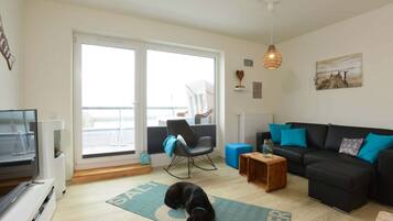 Télévision, cheminée, jeux vidéo, lecteur de DVD